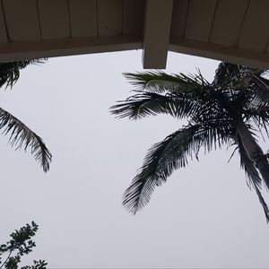 Meet your Posher, Anabelle